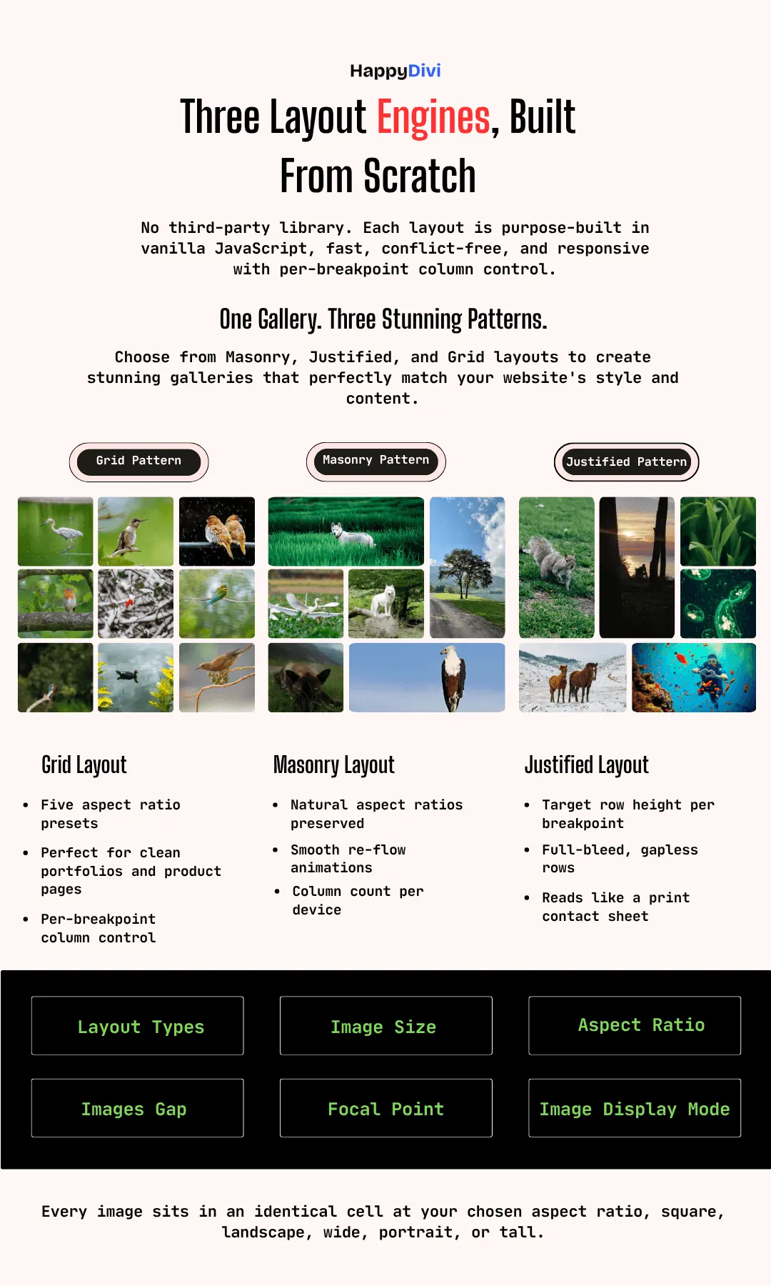 Screenshot 6 of HappyDivi Gallery