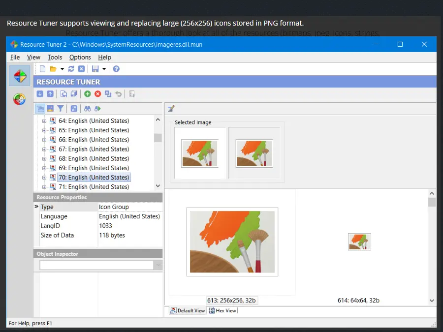Screenshot 5 of Resource Tuner
