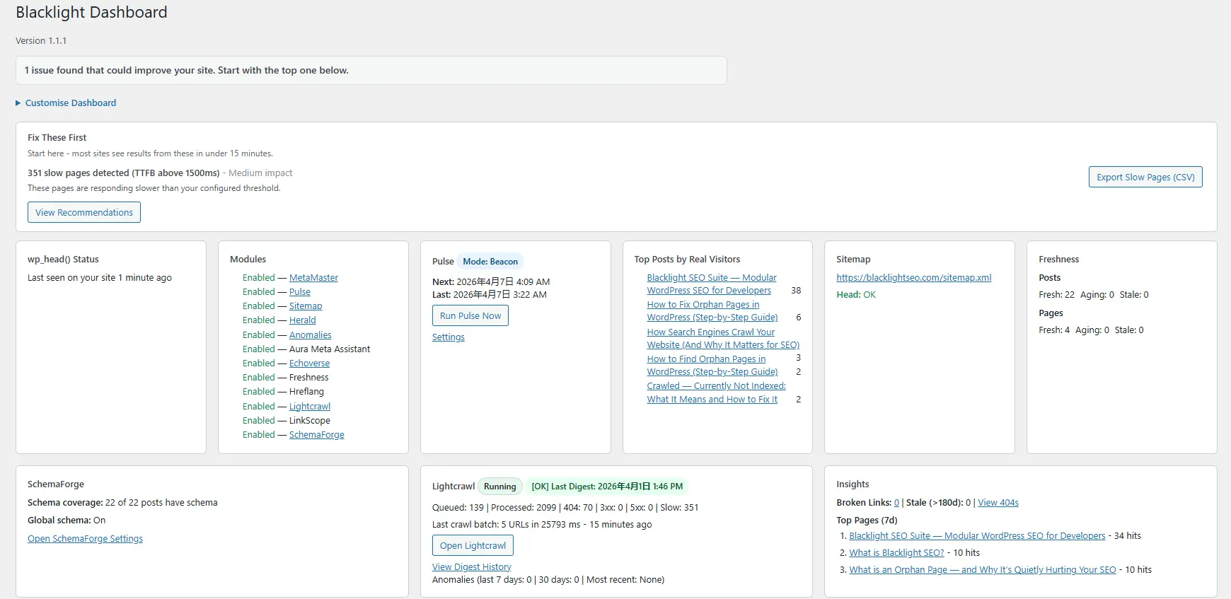Screenshot 3 of Blacklight SEO Suite