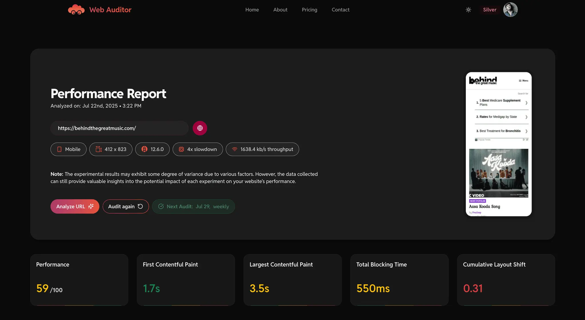 Screenshot 5 of Web Auditor