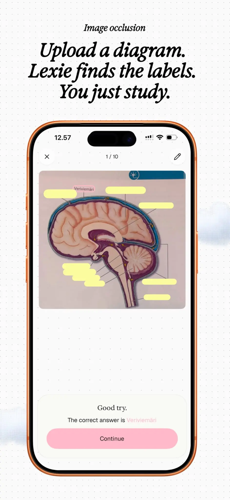 Screenshot 8 of Lexie