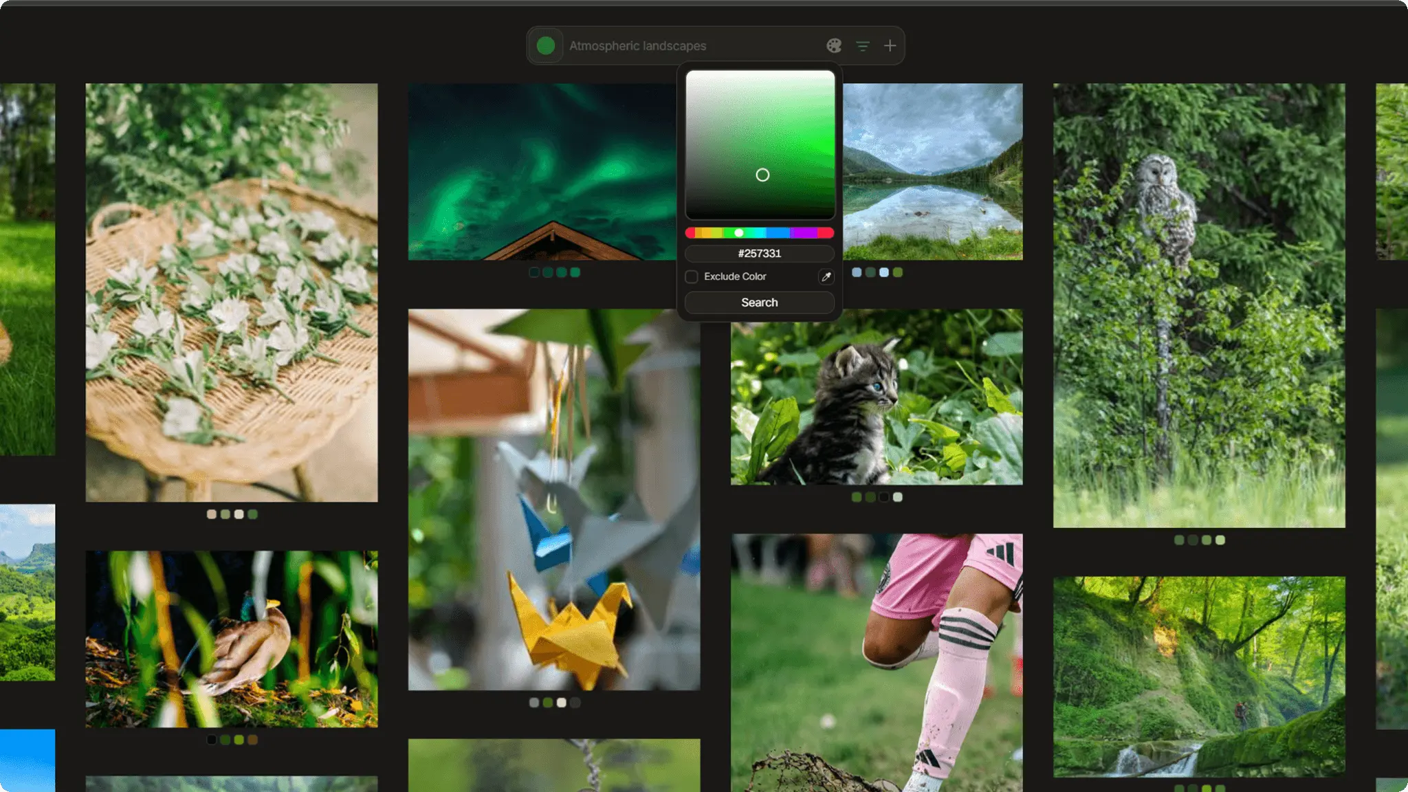 Screenshot 2 of Dotient