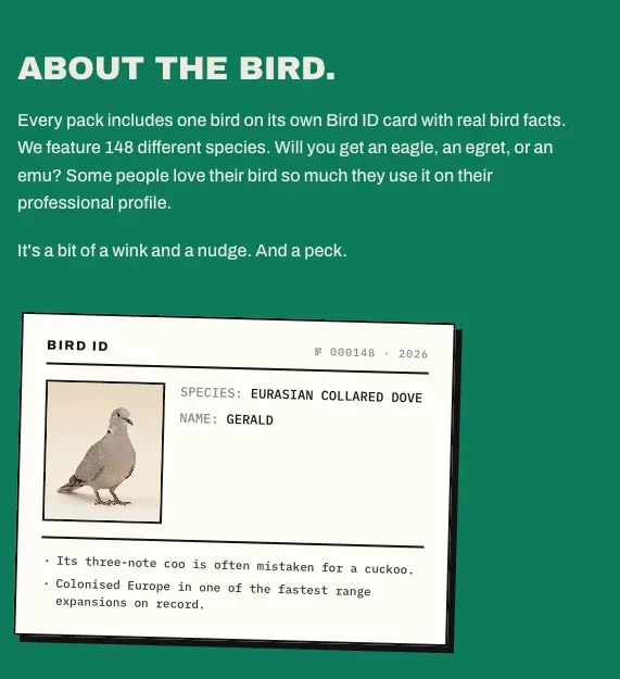 Screenshot 3 of Headshots with a Bird