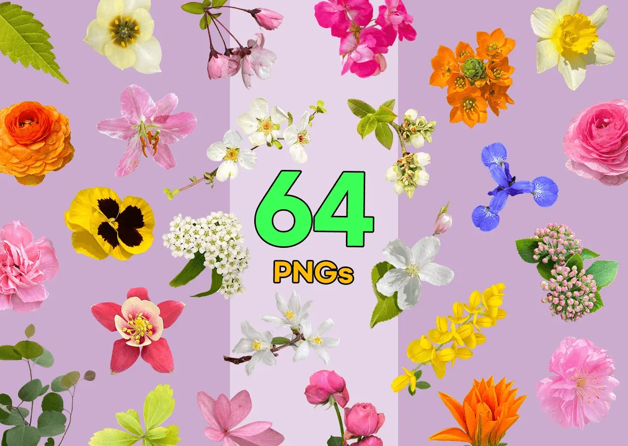 Screenshot 10 of PNG Heaven