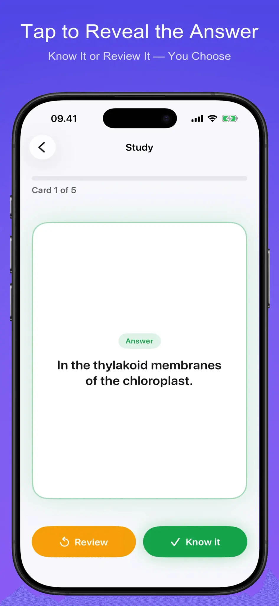 Screenshot 4 of SnapDeck AI
