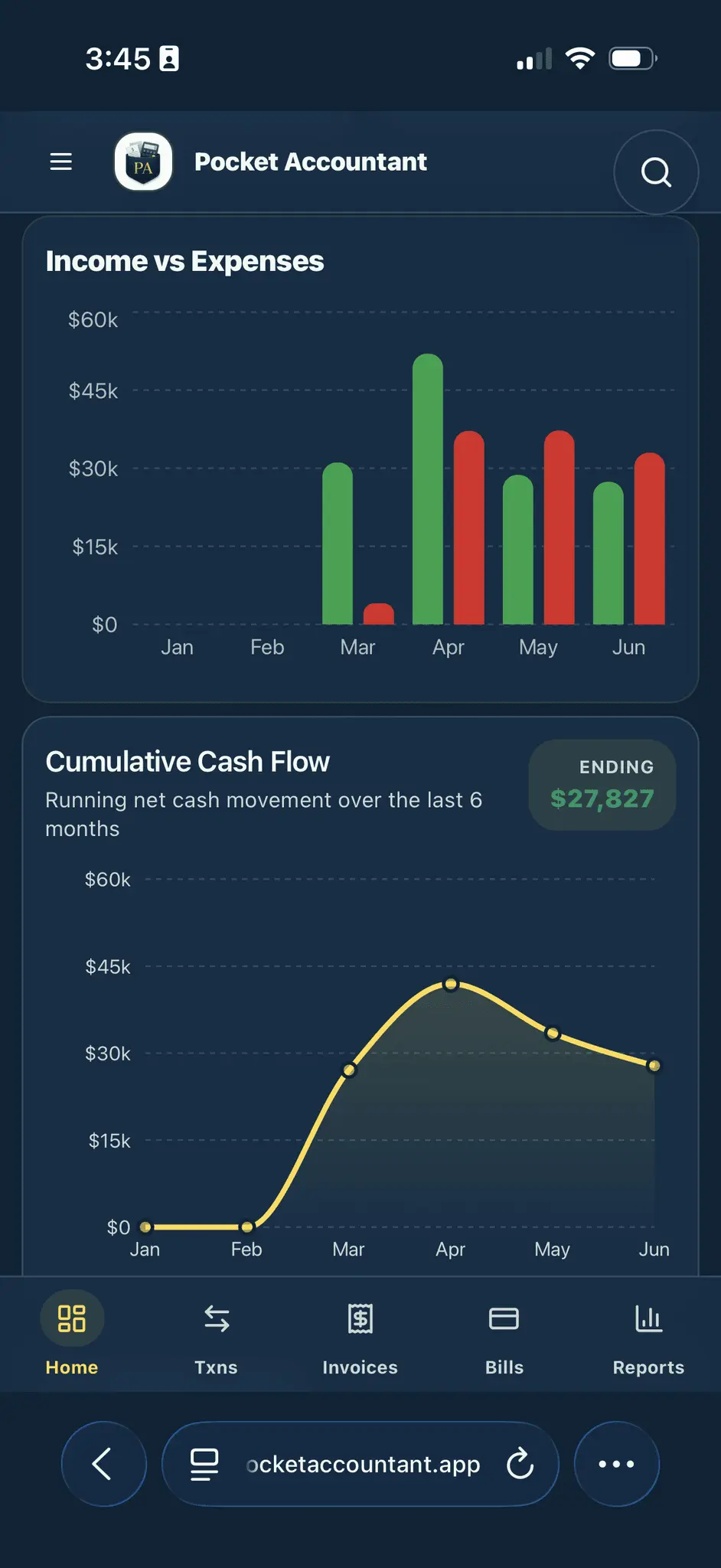 Screenshot 9 of Pocket Accountant