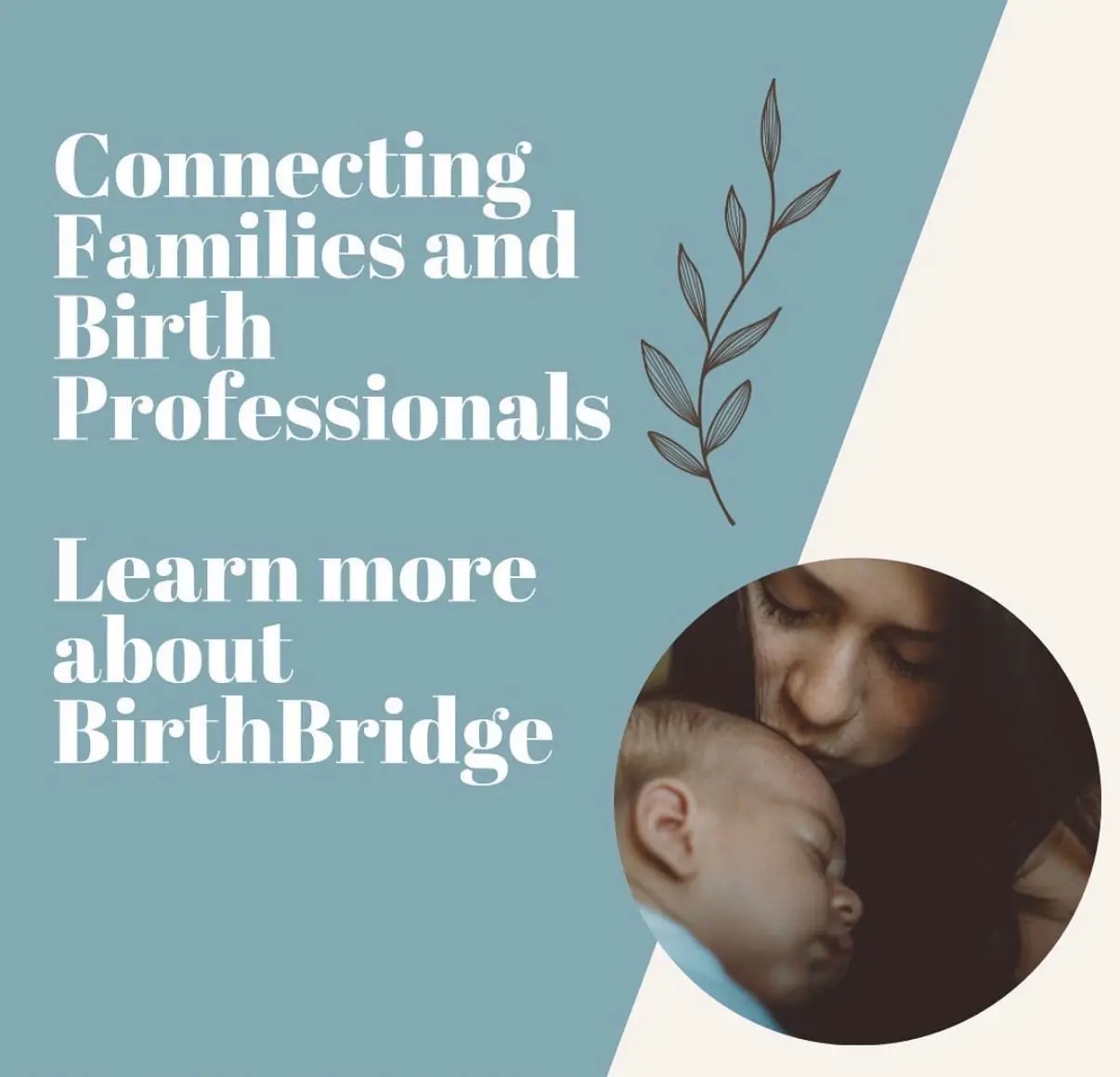 Screenshot 1 of BirthBridge