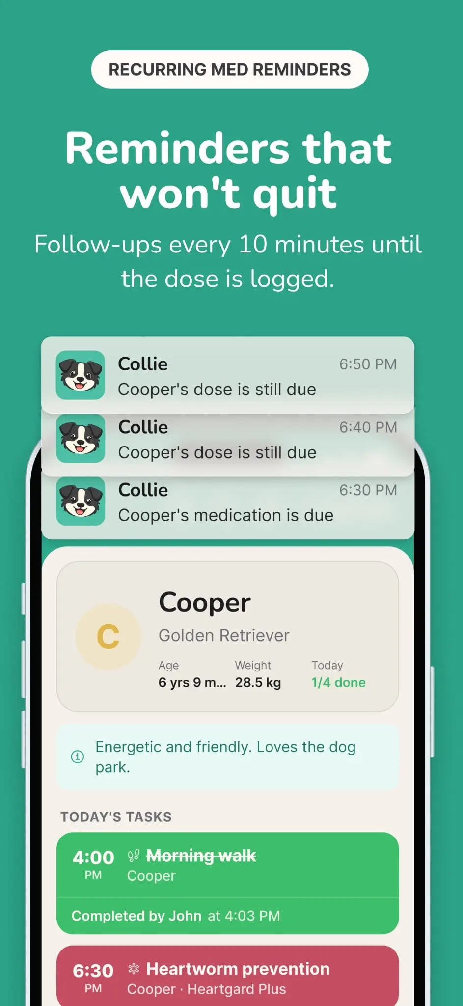 Screenshot 6 of Collie