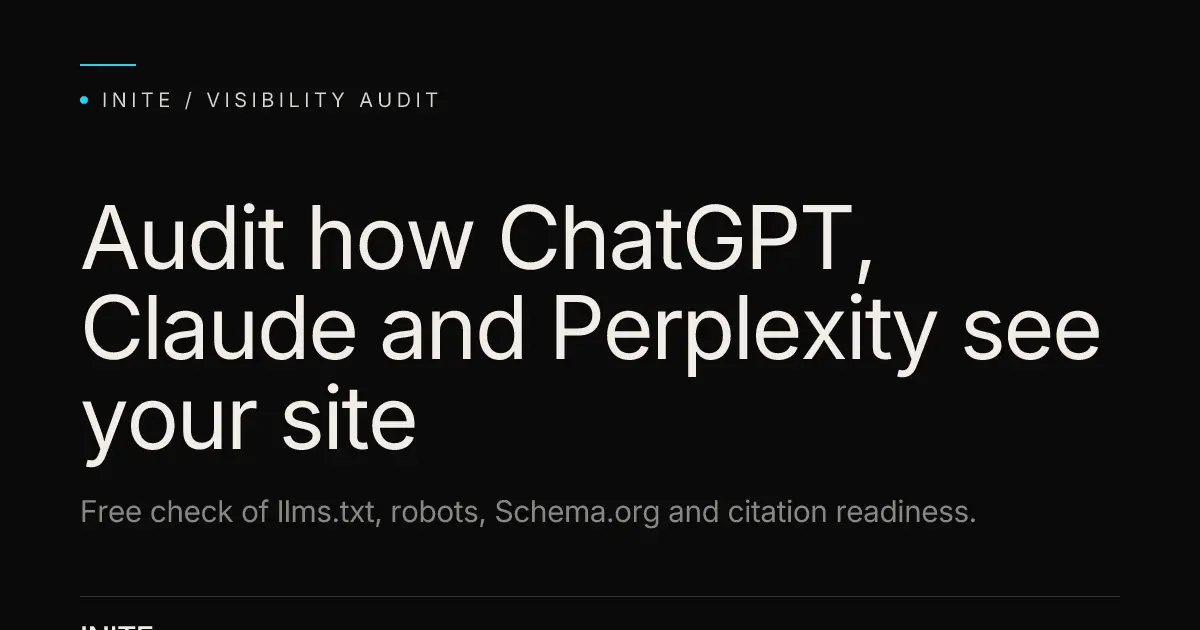 Screenshot 1 of AI Visibility Audit