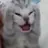 ejazahmadnfsmw