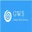 galaxywebservices