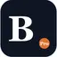 Bizboard Pro Team