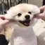 jlltouchu