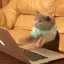 777hahahacker