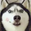 channelerh