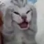 ejazahmadnfsmw