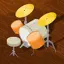 projectanshh