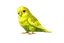 diwa