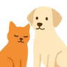 Pavlov - Pet Care