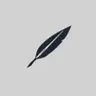 Shiru Notes