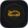 Car Snaglist