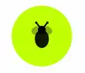 DashBee