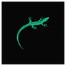 Lizard