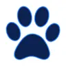 Rover AI