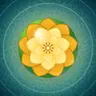 Kinetic Lotus