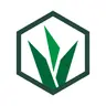 Grassroot Academy | AI Learning