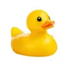 Explain your bug to the duck