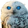 OwlAI.cc - AI for Small Business