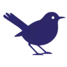 ClipWise