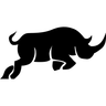 ROBUST Design Studio