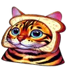 Create a Meme