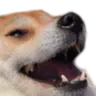 exeboii