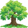 Plant Worth