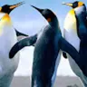 addarings