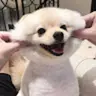 jlltouchu