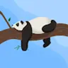 zhenghaohanhenry