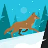arijonshopify