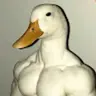 saascrafter
