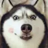 channelerh
