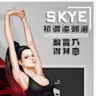 skylard399