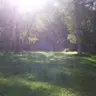 cse