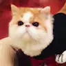 atukunare