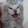 ejazahmadnfsmw