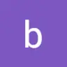 bankpdfconverterdirs
