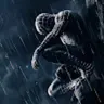 catchspider2002