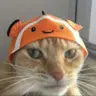 apiz
